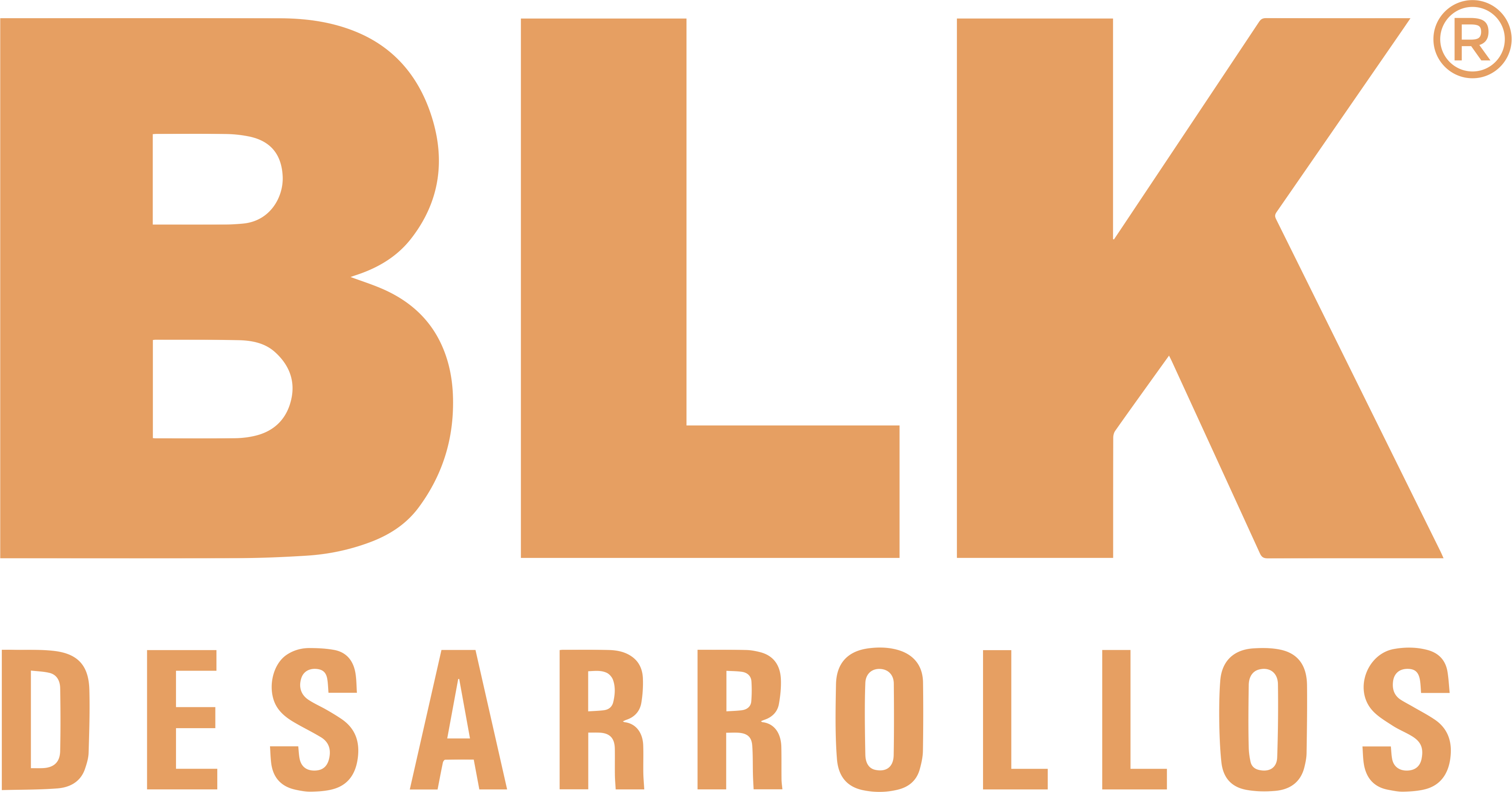 logo_blk